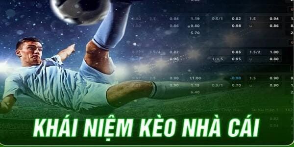 Loại hình cá cược thể thao đa dạng