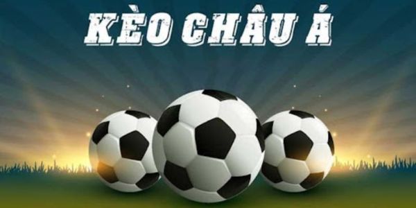 Những lưu ý khi tham gia các loại cược