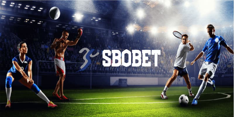 Tổng quan về sbobet