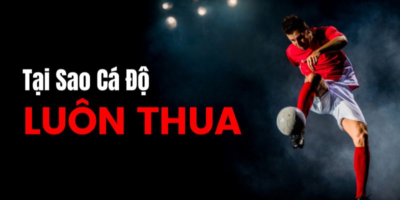 Chi tiết cá độ bóng đá 