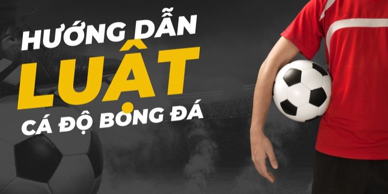 Hướng dẫn cách đặt cược